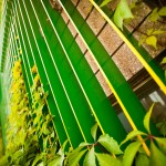 The Greens of Edmonton
