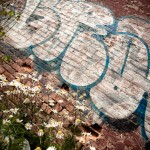 Grafitti on wall in downtown Edmonton