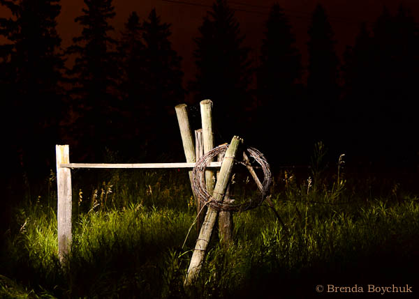 Night photography field trip - student image by Brenda Boychuk