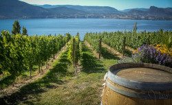 wine-photography-tours-0001