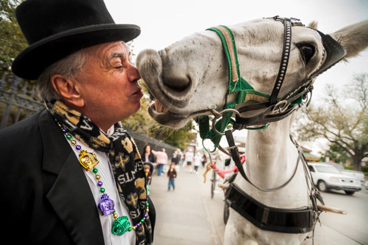 horse-kiss-2